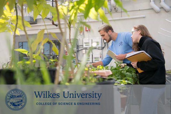 College of Science and Engineering