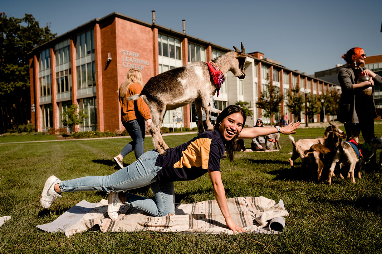 Understanding the Different Styles of Yoga - Campus Recreation