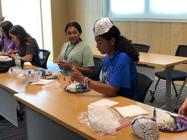 students decorating brain shaped cakes with icing