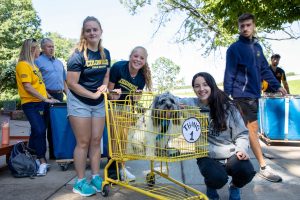 Wilkes students with dog in shopping cart