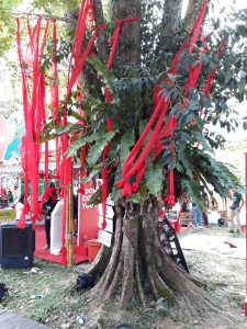 Tree draped with red ribbons